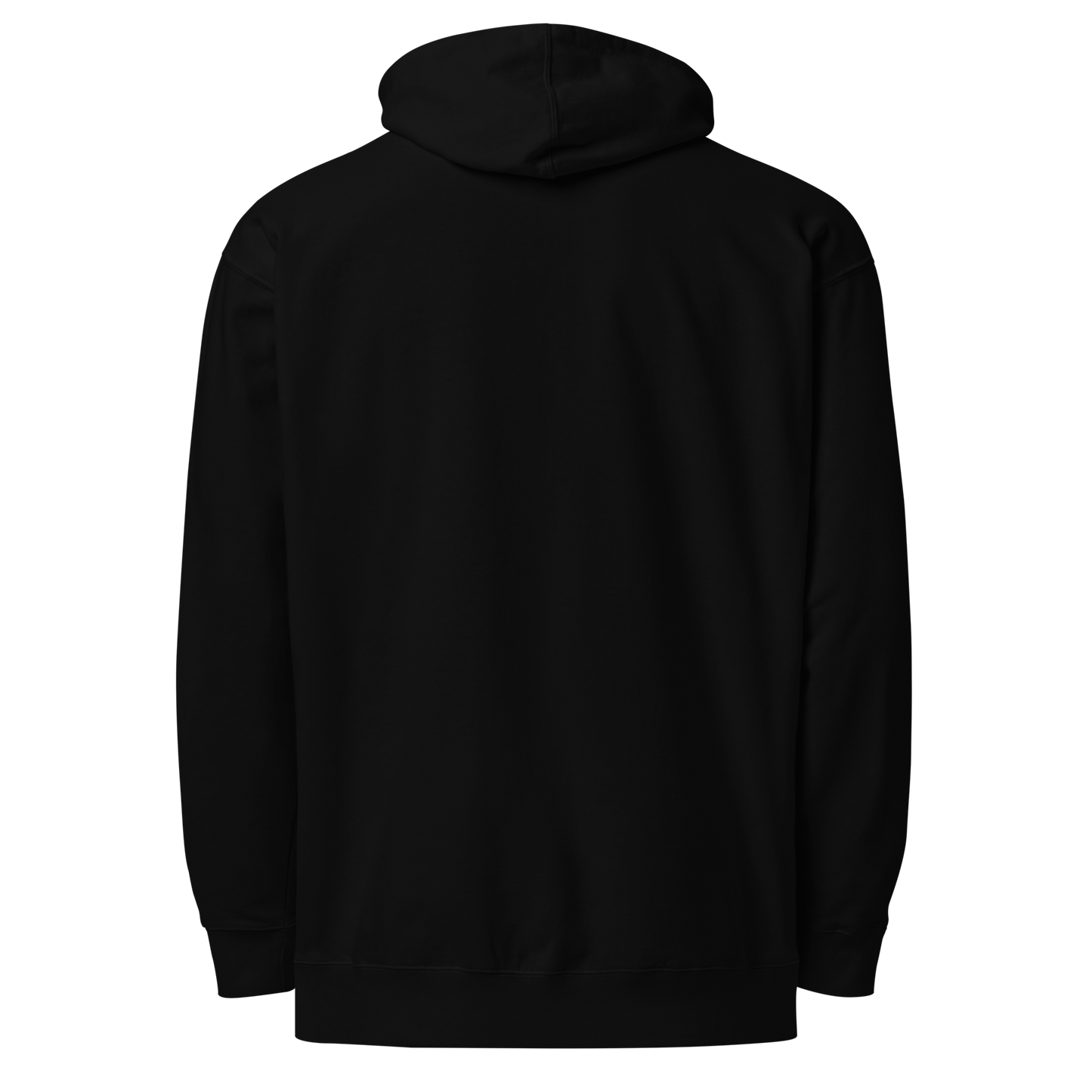 Professional Asshole Hoodie